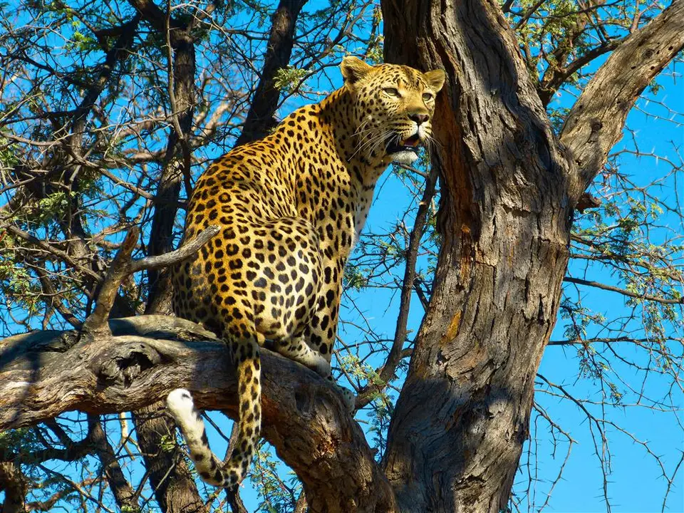 Namibia.jpg