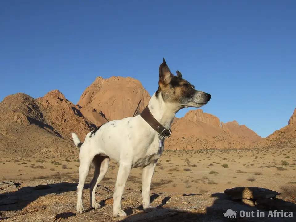 11-Penny-Spitzkoppe.jpg