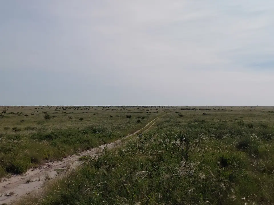 20220122_081210klein.jpg