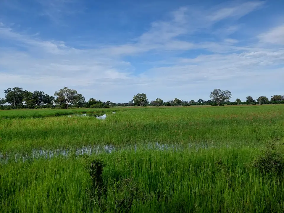 20220126_074520klein.jpg