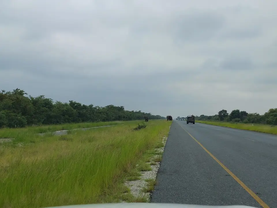 20220131_095632klein.jpg
