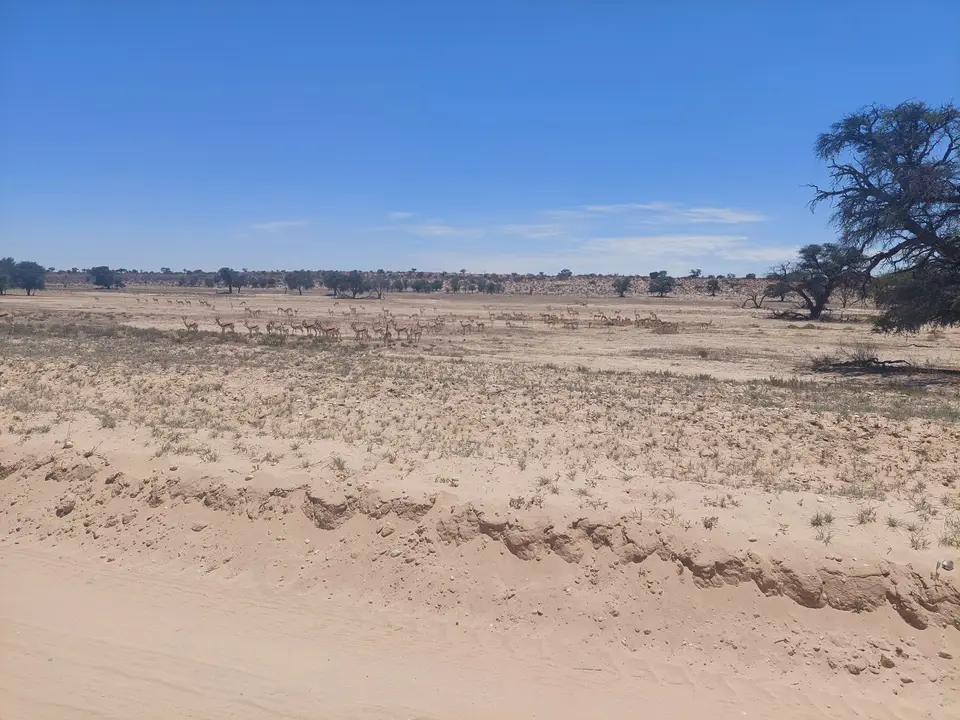 20221208_113711.jpg