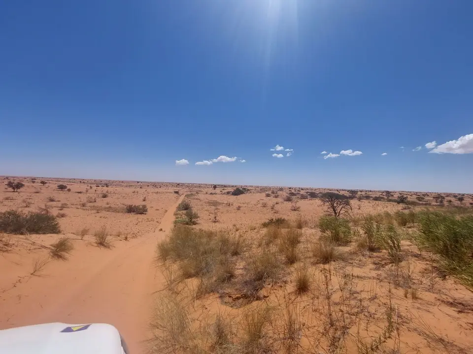 20221208_135317.jpg