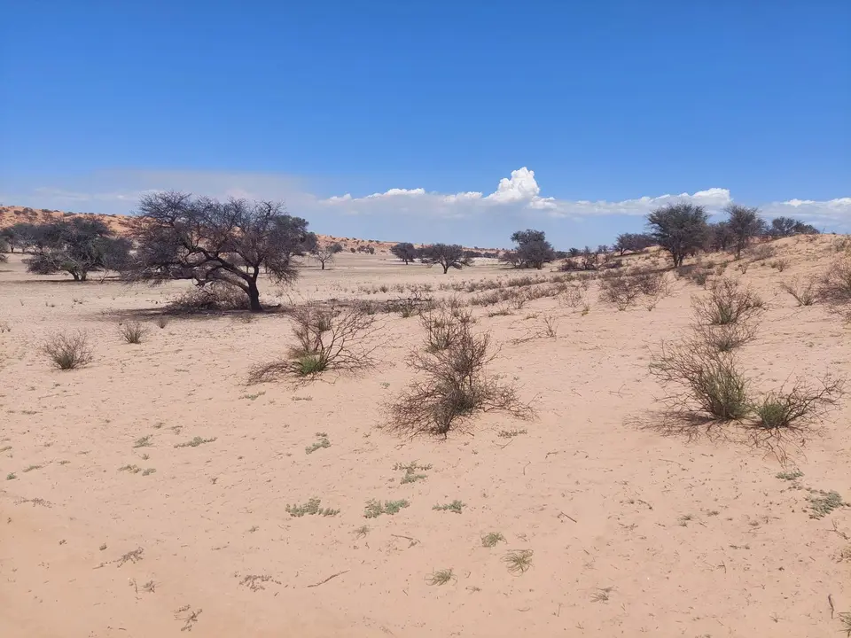 20221209_102944.jpg