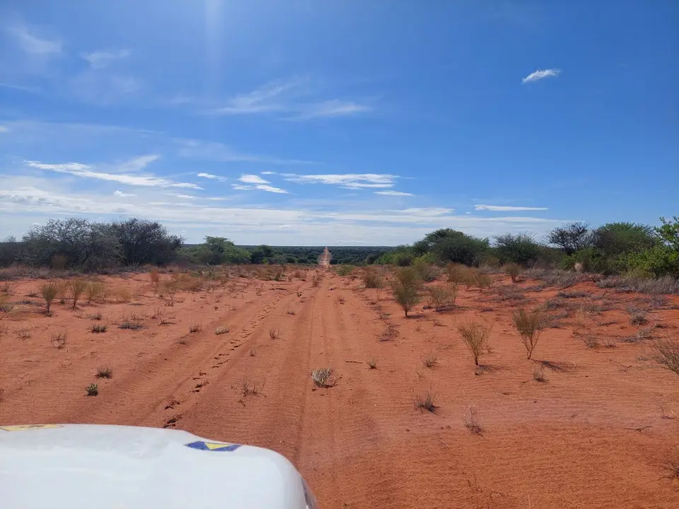 20221212_092106.jpg