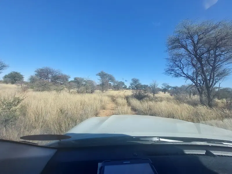 20230824_094728klein.jpg