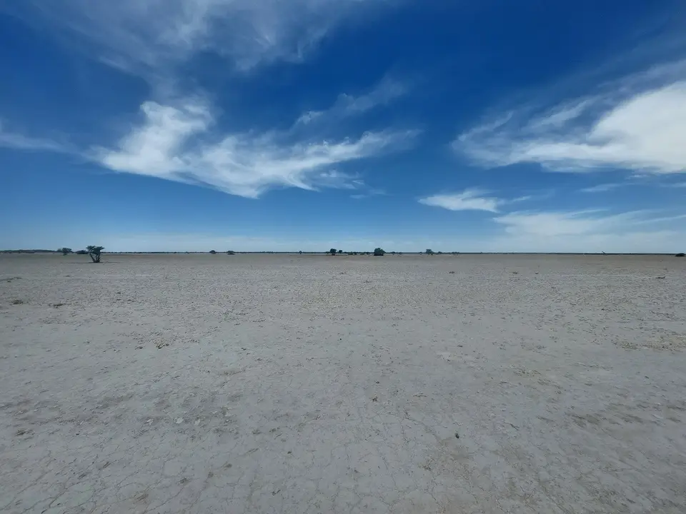 20241207_124402klein.jpg