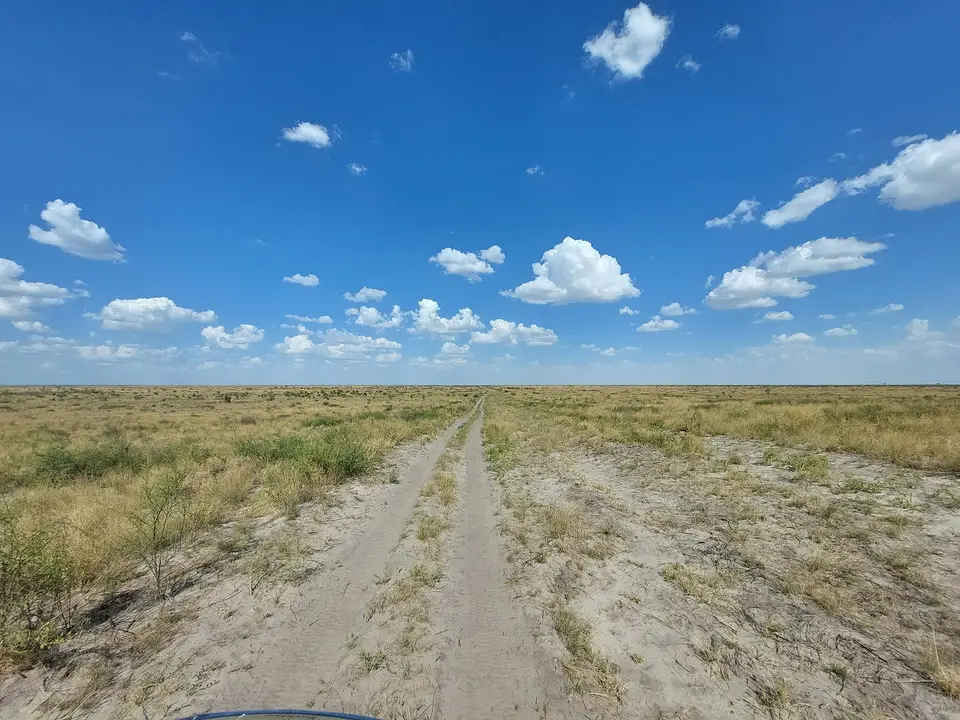 20241210_154135klein.jpg