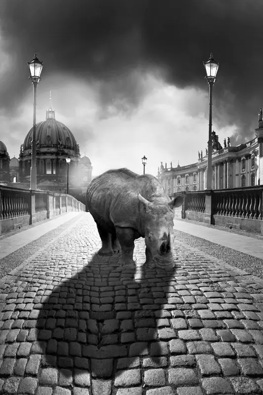 Mystik-light-Nashorn.jpg