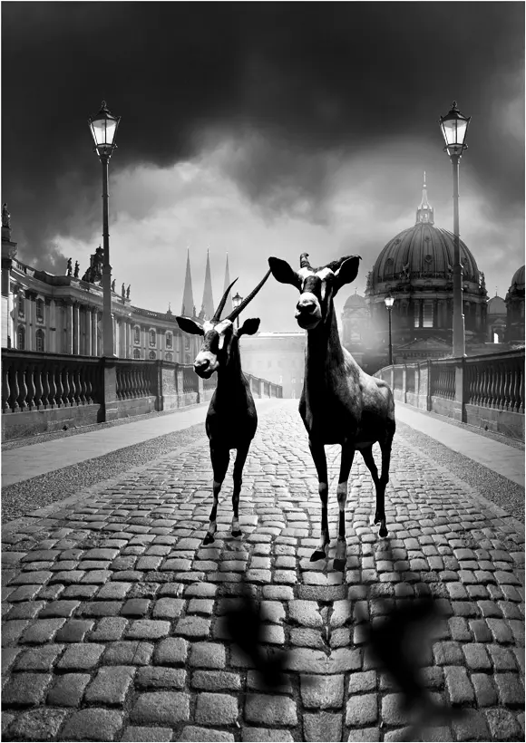 Mystik-light.jpg
