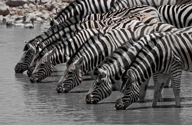 Namibia_02.11.2008-0050.jpg