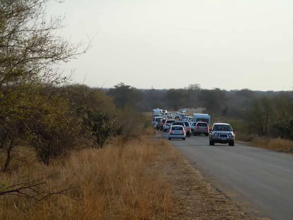 Sdafrika2011-0736.JPG