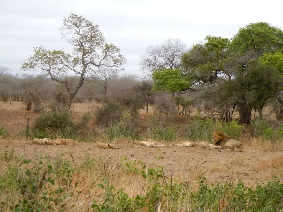 Sdafrika2011-0775.JPG