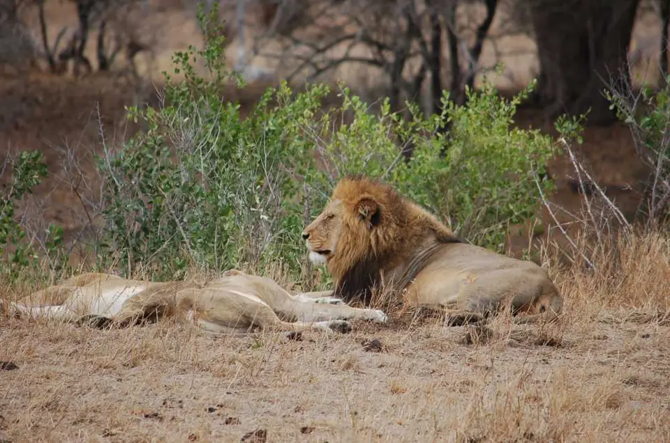 Sdafrika2011-0778.JPG