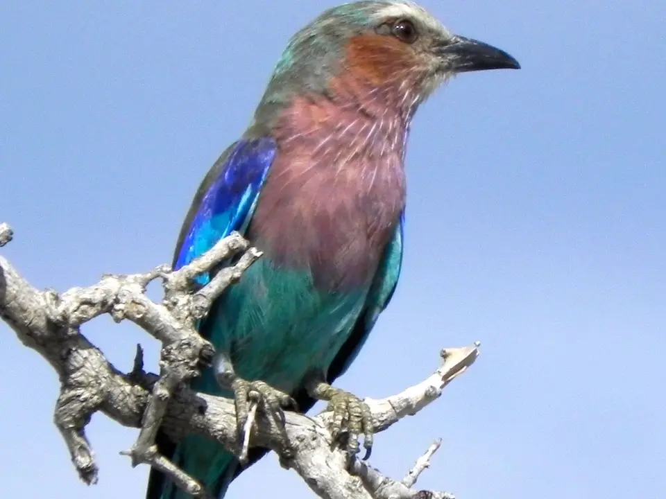 DSCN1065.jpg