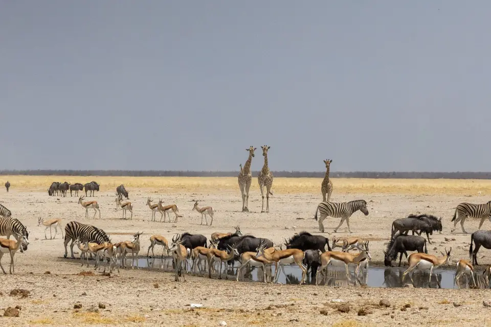 namibia2025_366.jpg