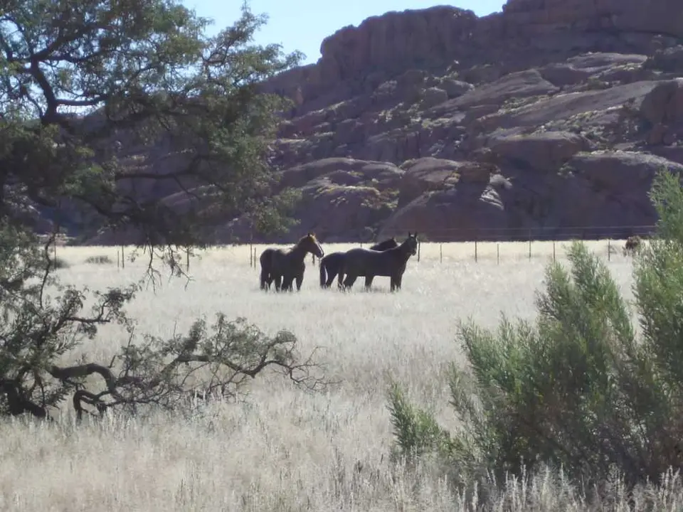 Afrika201101065.jpg