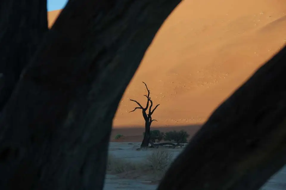 Afrika201101072.jpg