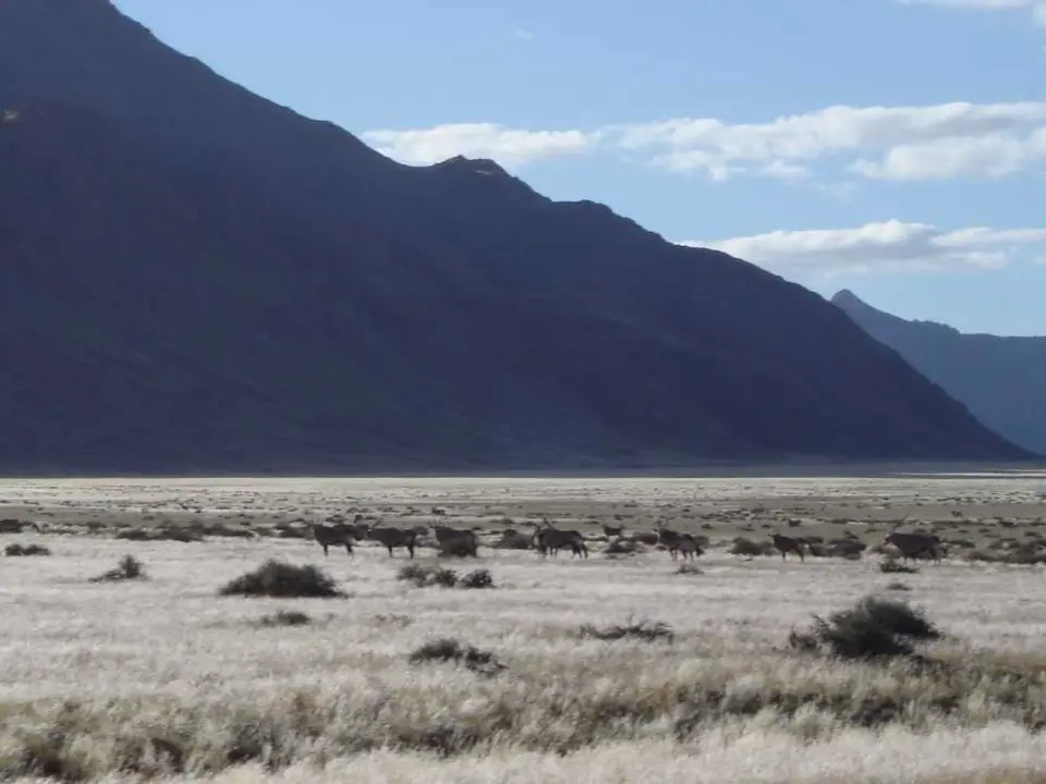 Afrika201101106.jpg