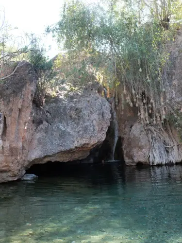 aforu03_2013-01-31.jpg