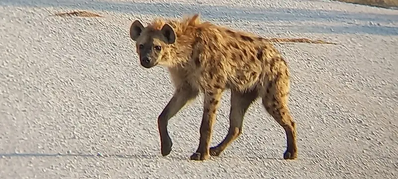 20230816_172629.jpg