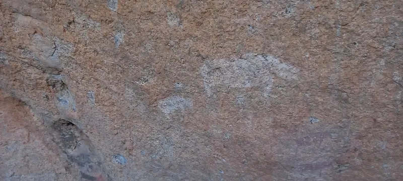 20230822_075445.jpg