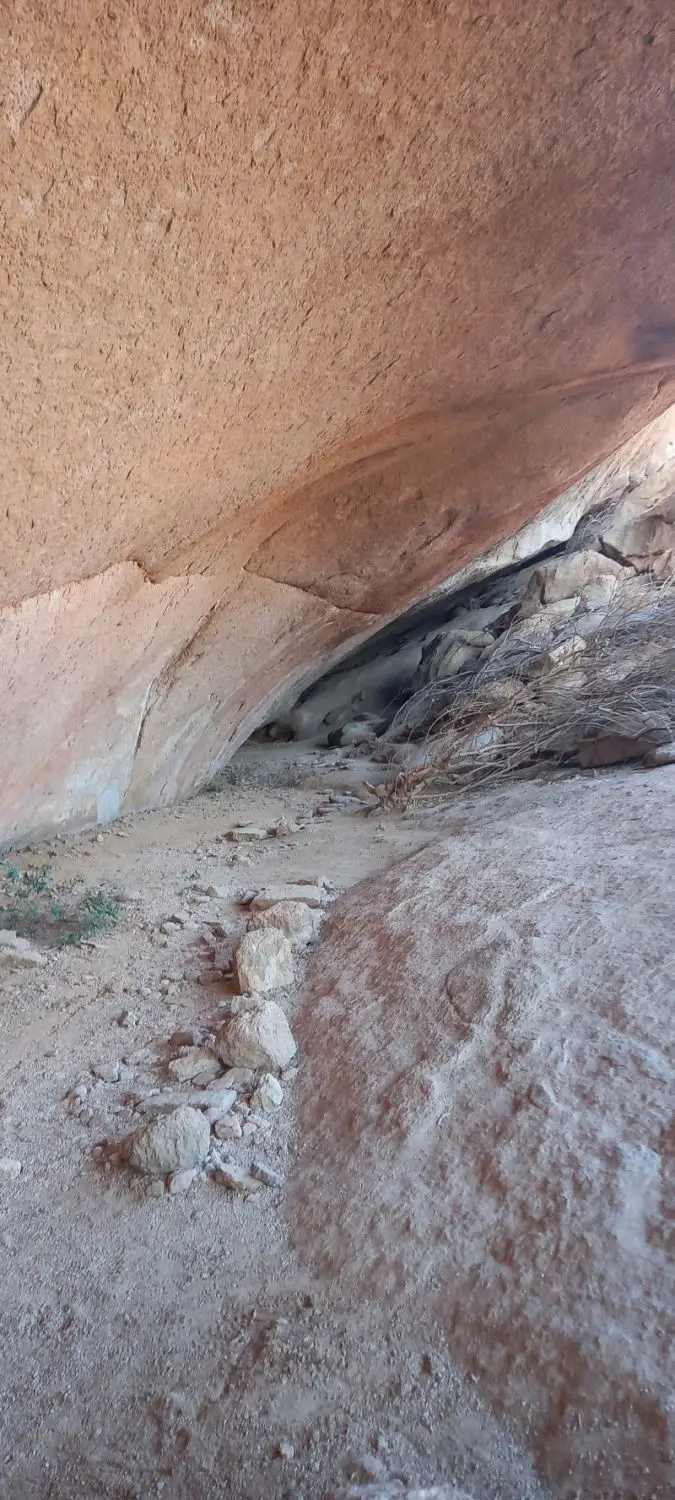 20230822_075452.jpg