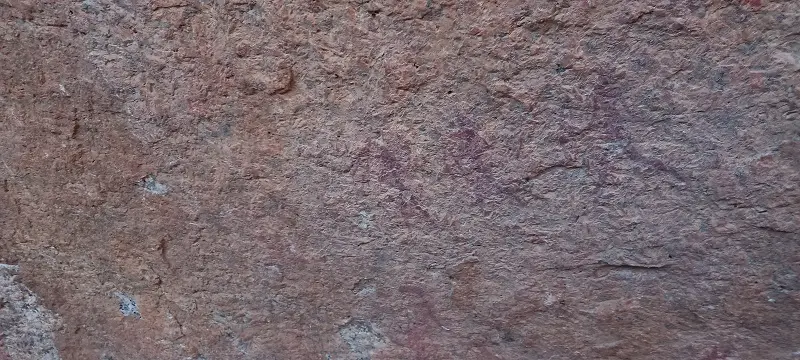 20230822_075811.jpg