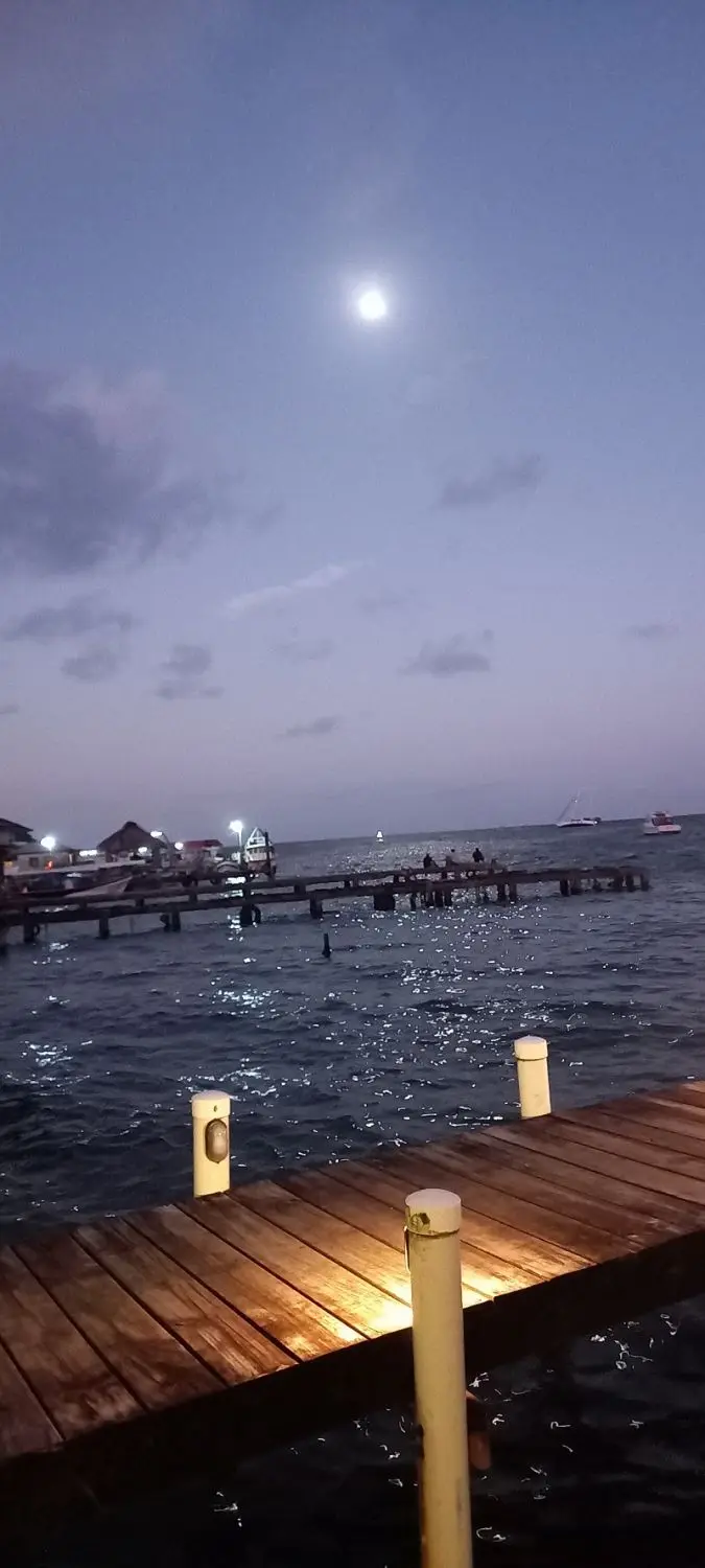 20240123_181150.jpg