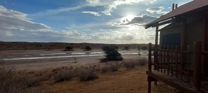 20241109_174055.jpg