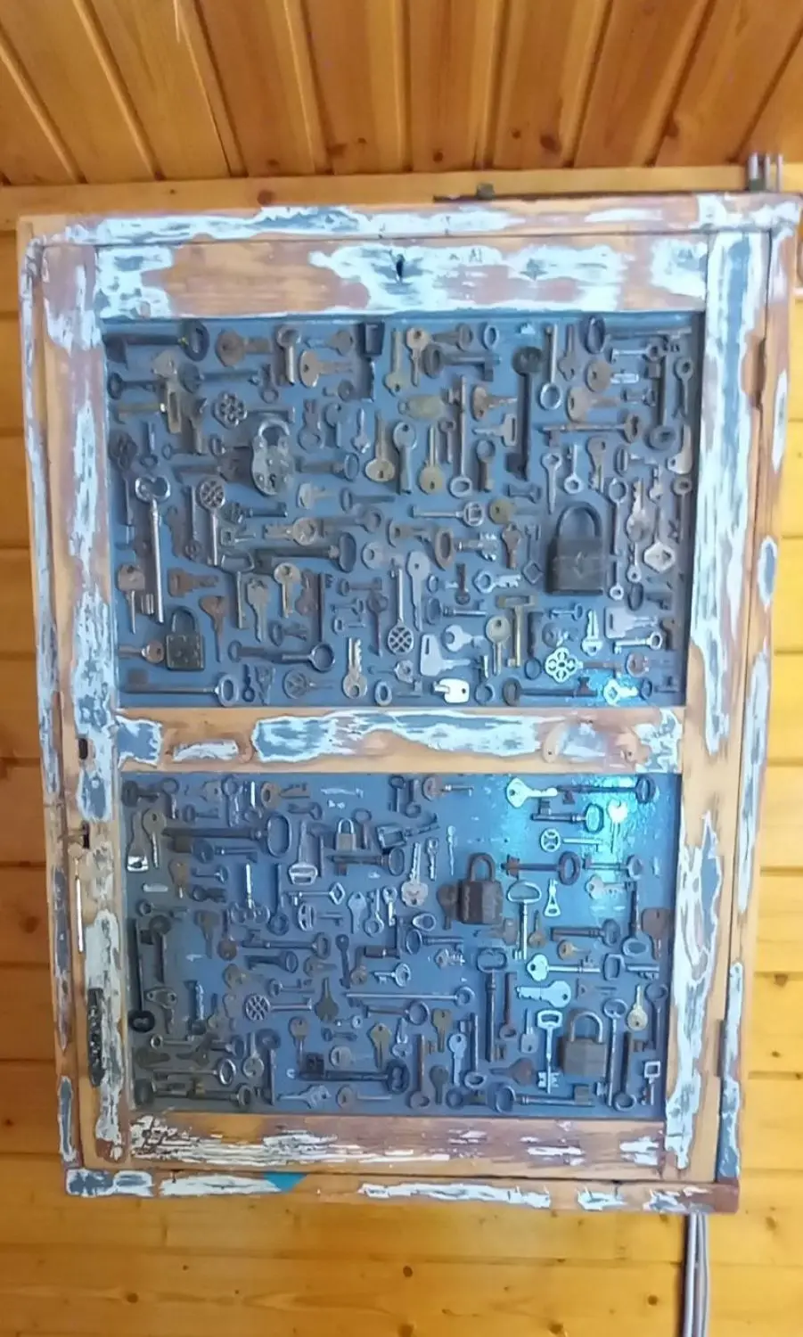 20241112_134756.jpg