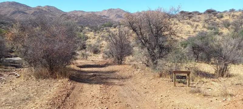20241113_084951.jpg