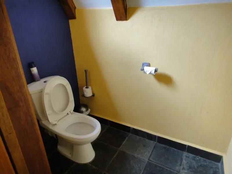 453.JPG
