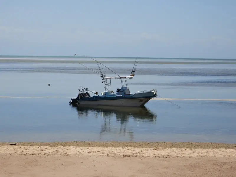 477.JPG