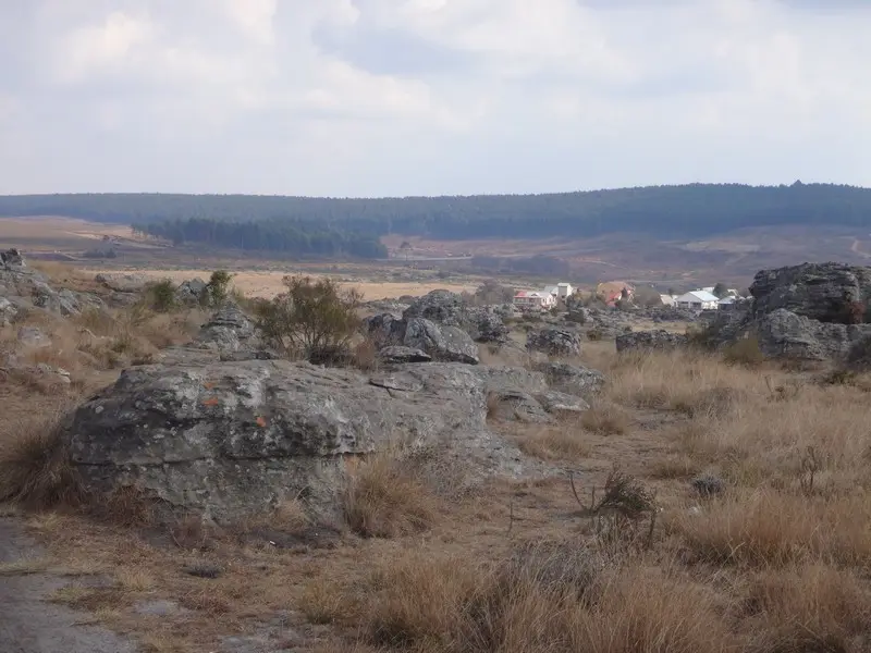 Afriquedusud2016060.JPG