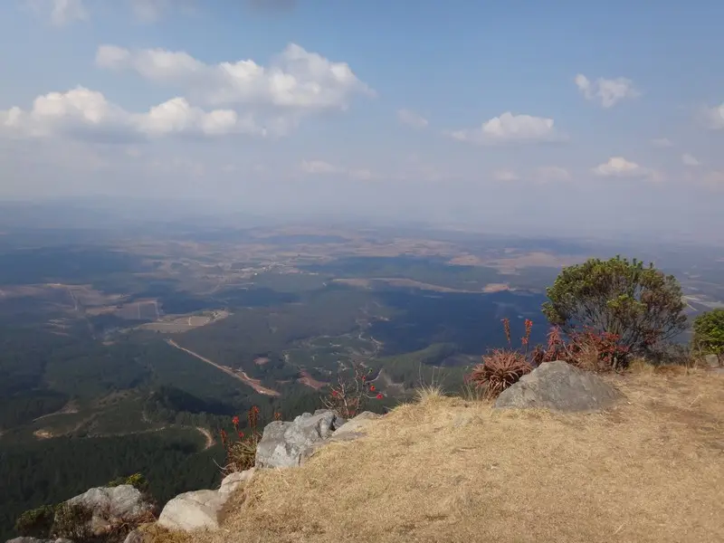 Afriquedusud2016063.JPG