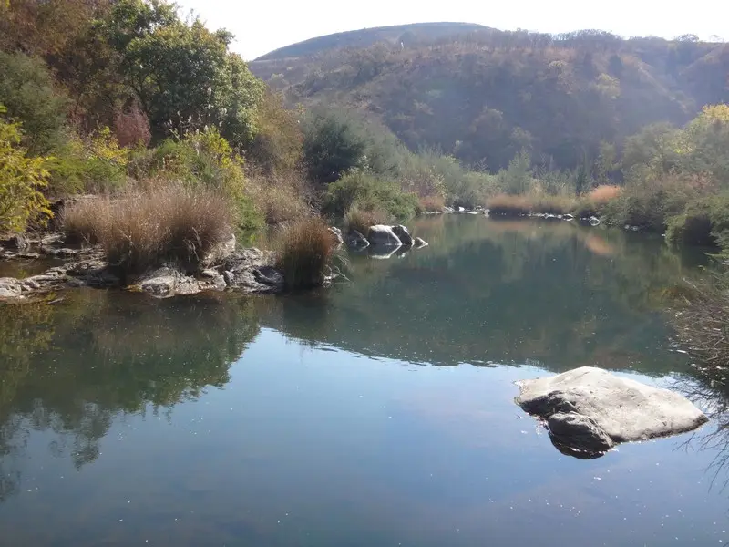 Afriquedusud2016096.JPG