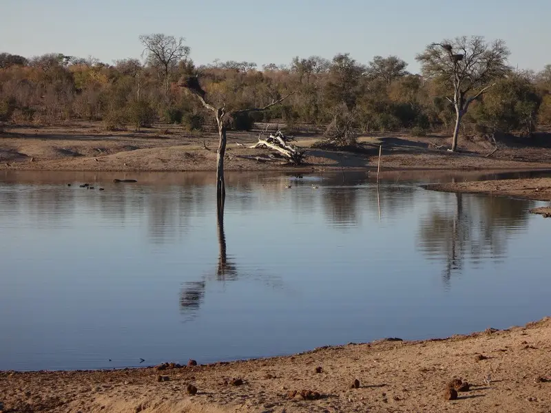 Afriquedusud2016136.JPG