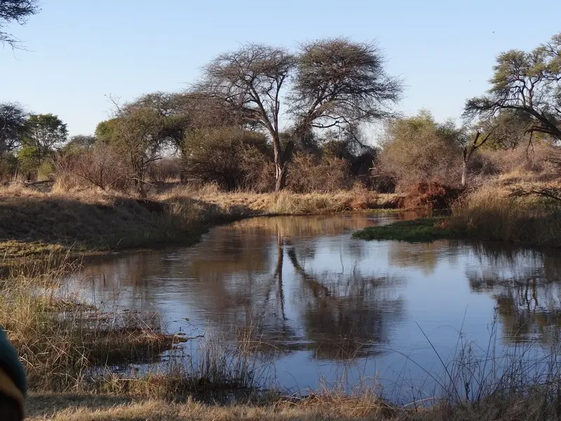 Botswana2011036.jpg