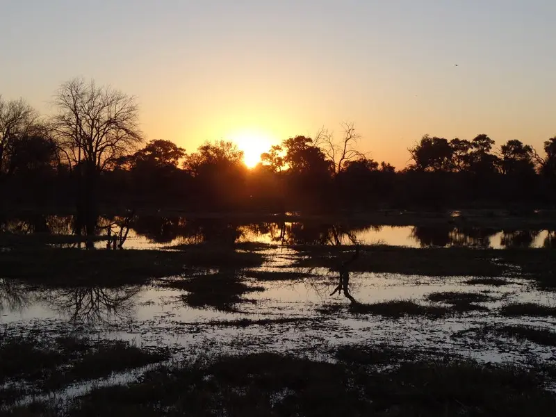Botswana2011138.jpg
