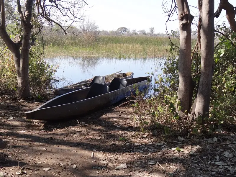 Botswana2011139.jpg