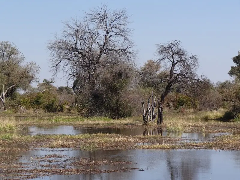 Botswana2011164.jpg