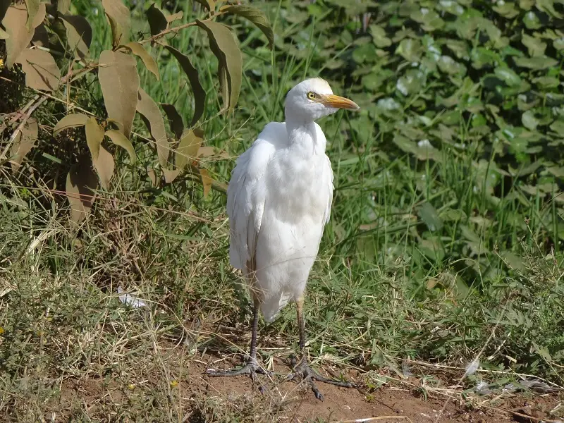 DSC00005.JPG