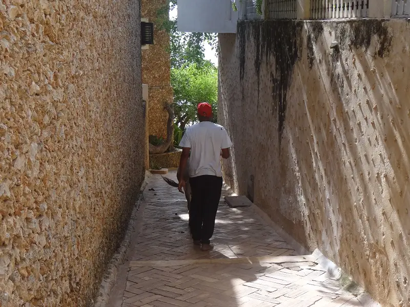 DSC00080.JPG