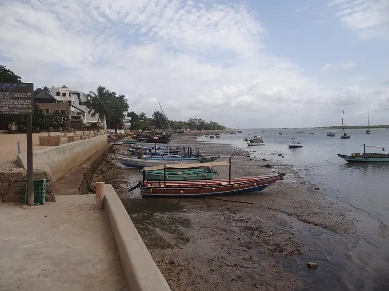 DSC00177.JPG