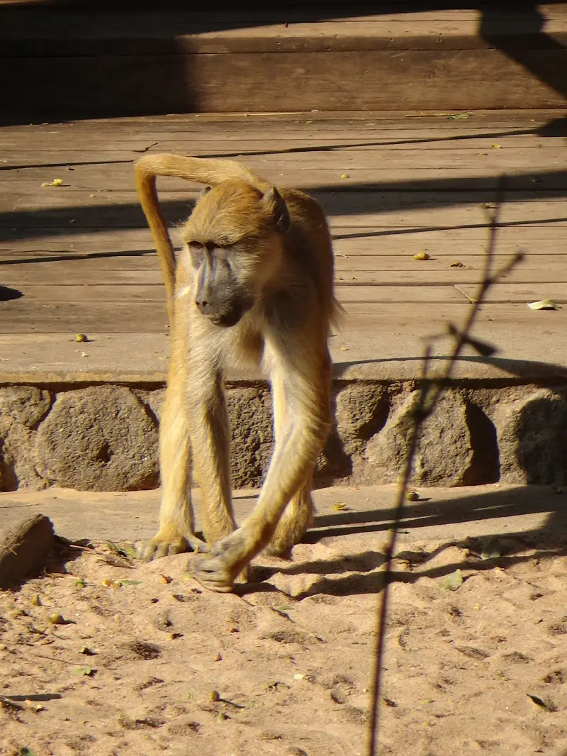 DSC00744.JPG
