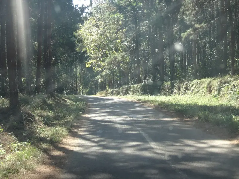 DSC00828.JPG