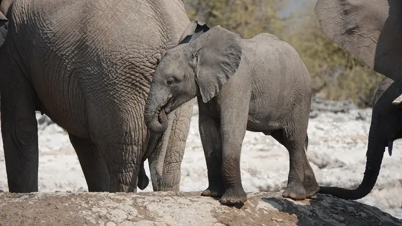 DSC01999.JPG