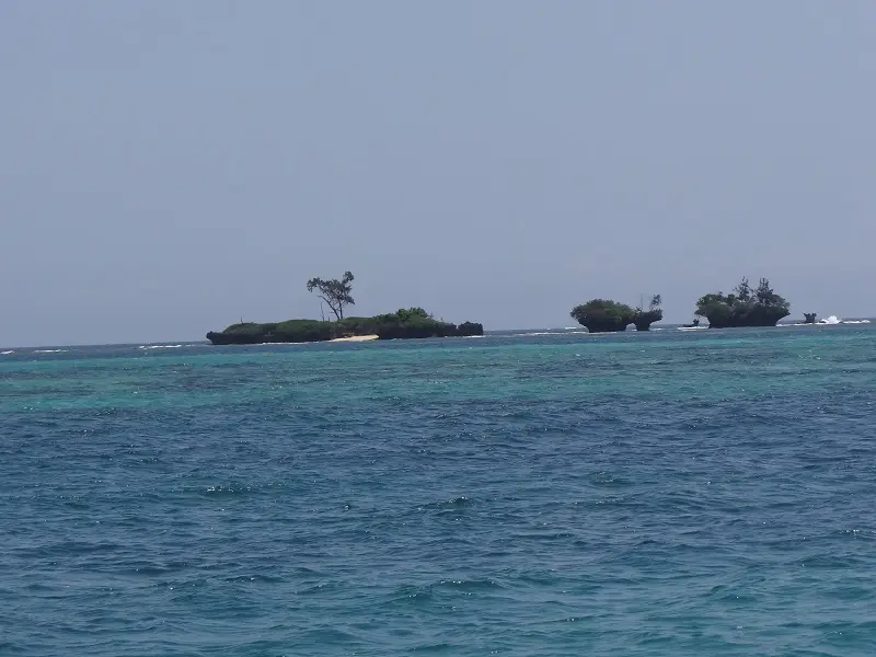DSC03121.JPG