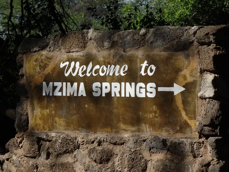 DSC03391.JPG